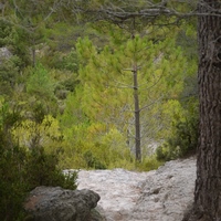 Photo de France - Le Cirque de Mourèze et le Lac du Salagou